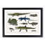 Various Reptiles XXVII by Oliver Goldsmith - Picture Frame Painting Print-55605030-55605033