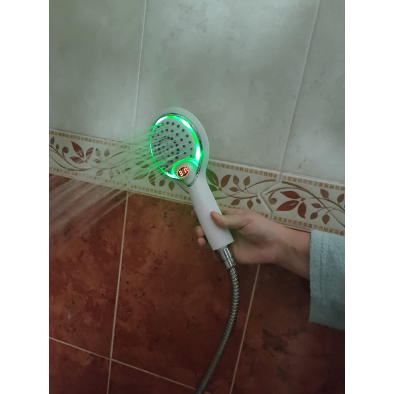 Chevelle Handheld Shower Head