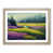 Oak Framed selected