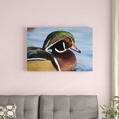 Wood Duck Male - Photograph on Canvas