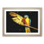 Yellow Macaw Parrot - Picture Frame Painting Print-56739975-56739976