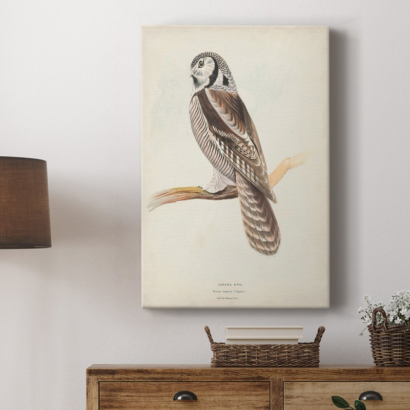 Chouette du Canada - galerie Cavas sur mesure, H 27 po x l 18 po
