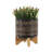 S/2 5/8" Planter W/ Wood Stand For Outdoor Indoor