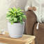 9/8/7.5 Inch Flower Pots, Set Of 3 Modern Decorative Plastic Pla...