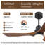 132CM Ceiling Fan with LED Light and Remote Control-77690111-77690104