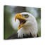 No Frame Print on Canvas-542770223