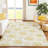 Machine Washable Indoor/Outdoor Chantille ACN2352 Casual Rug-1076354853