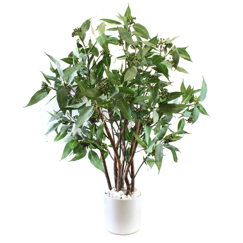 Faux Eucalyptus Tree in Ceramic Planter