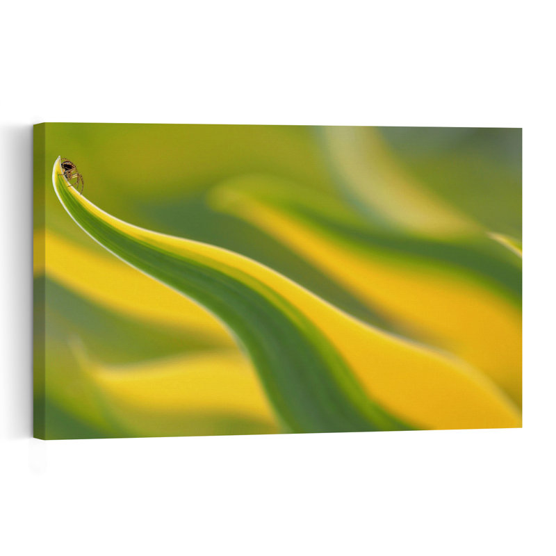 Insecte sur feuille vibrante - Impression d'art mural abstraite et élégante représentant une plante et une nature vibrante - Insecte sur feuille vibrante