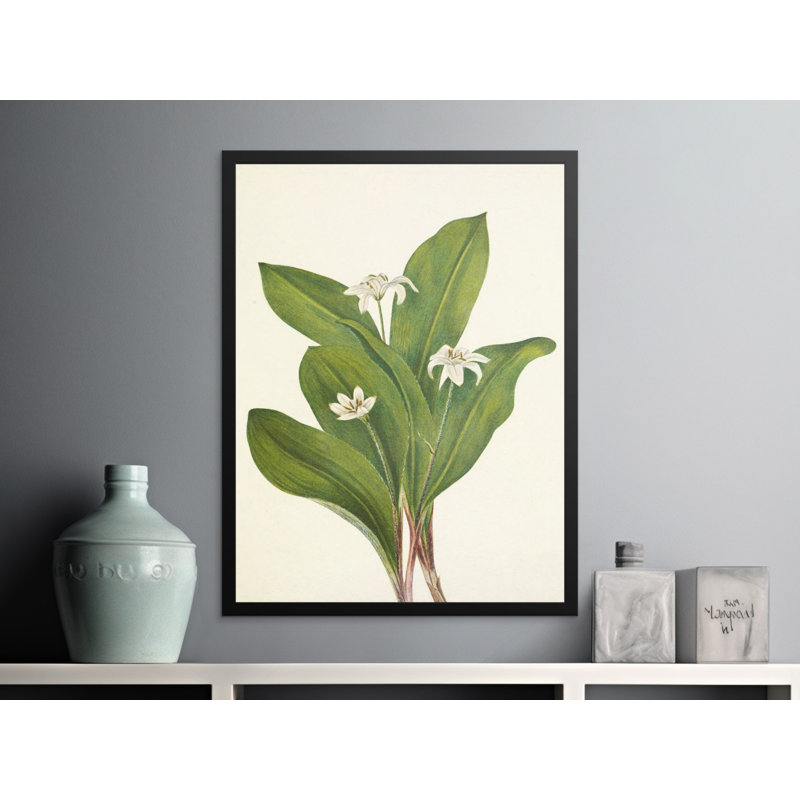 Anchoretta Floater Frame Print, 24x36