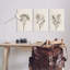 «Stupell Industries Beige Cottage Cottage», ensemble de 3 toiles murales par Ros Ruseva-91323392