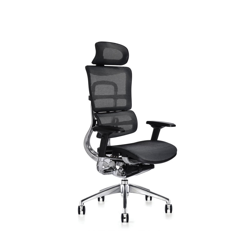 Desk Chair with Headrest