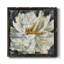 «Late Bloomer», reproduction sur toile encadrée-356972244-356972247