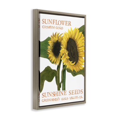 Sunflower Seeds Design Brown Framed Floater Canvas by Nancy Overton