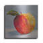 «A Is For Apple» par St. Hilaire Eli «A Is For Apple» par St. Hilaire Elizabeth-1336125128