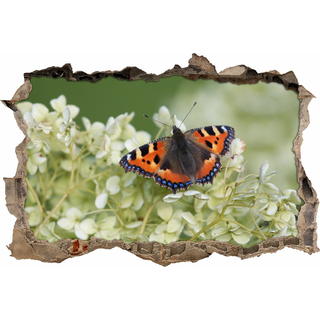 Orangefarbener Schmetterling auf einer weißen Blume Wandaufkleber