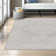 Shyann Oriental Light Gray Area Rug