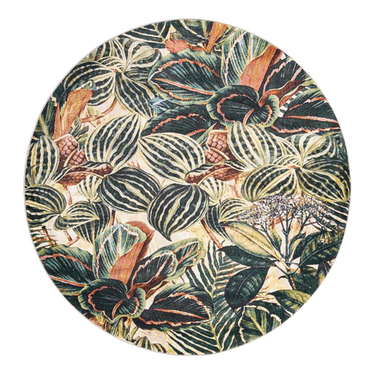 Herlong Floral Indoor Rug
