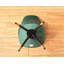 Pala 4 Person Dining set - a Round Wooden Dining Table with Metal Legs and a Set of 4 Quilted Velvet Dining Chairs for Dining Room - Modern Dining Table Set-70560324-70560321