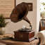 Gramophone brun en bois avec disque