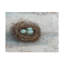 «Rustic Bird Nest I» par Ethan Harper - reproduction d'art sur toile-637962116