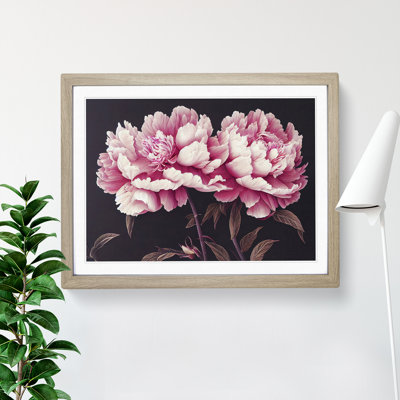 Enchanting Peony Flowers - Single Picture Frame Print