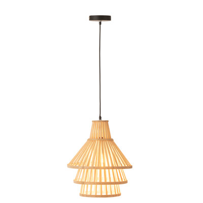 1 - Light Novelty Pendant