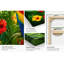 Art tropical sur toile tendue avec jardin perroquet tropical-129452312