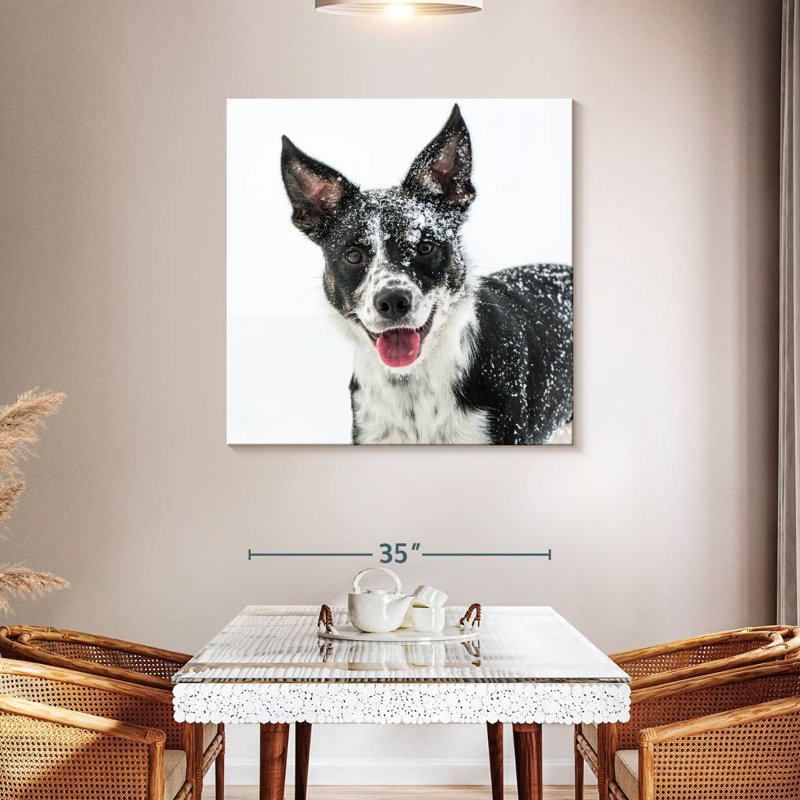 Brampt Snow Covered Border Collie, 39" H x 39" W