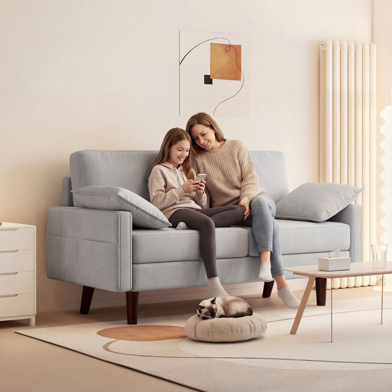 Canapé 3 places en velours 66,5 po avec 2 coussins, gris, Gray