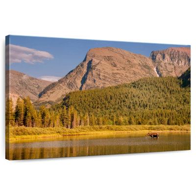 Alvord Glacier Lake Moose