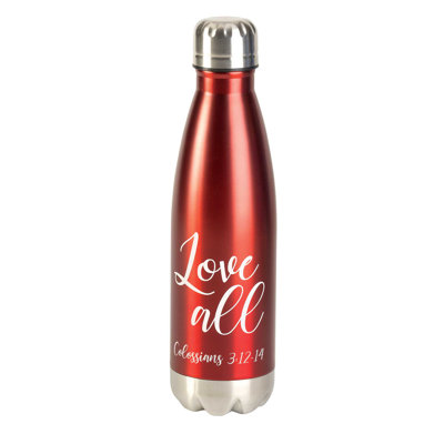 17 oz. Bouteille d'eau isolée en acier inoxydable