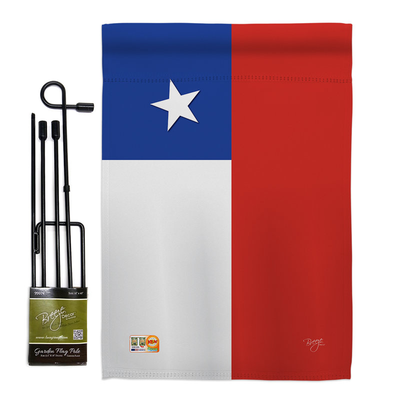 Ensemble de 2 drapeaux en polyester 1 côté 7 po x 1 pi chili chili