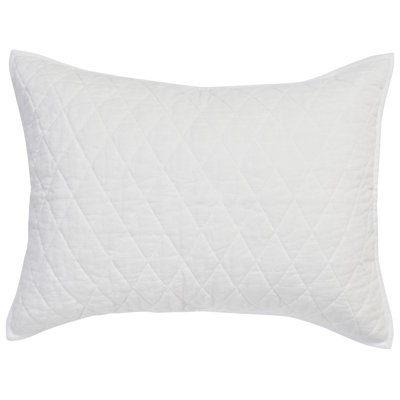 Lana 100% Textured Cotton Euro Sham 