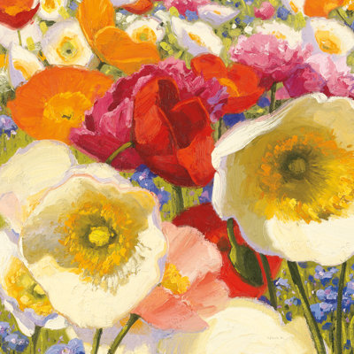 Sunny Abundance II by Shirley Novak - Wrapped Canvas Painting