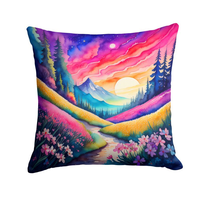 Other/No Pattern Outdoor Throw Pillow, 18" x 18"