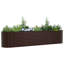 Raised Garden Bed-336542581-336542475