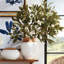 41-Inch Eucalyptus Seed Stem
