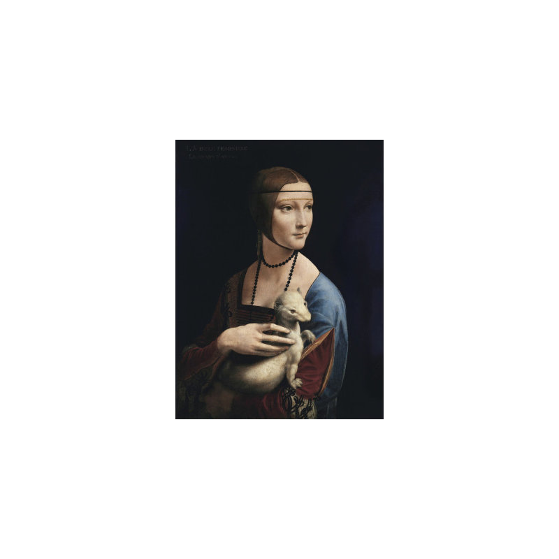 Wrapped Canvas Print, 76.2 cm H x 50.8 cm W