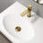 Bathroom Sink Pop-Up Drain With Overflow-55639336