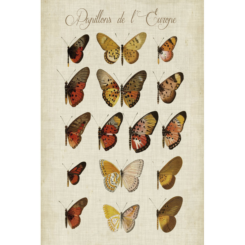 Papillons De L'europe III by Vision Studio - Wrapped Canvas Art Prints, 46cm H x 30cm W