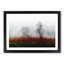 Tree Fog in Switzerland - Picture Frame Graphic Art Print-56734747-56734748