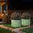 Muffin 16.7" Tall Metal Raised Garden Bed-75187772