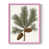Rose n'est pas disponible