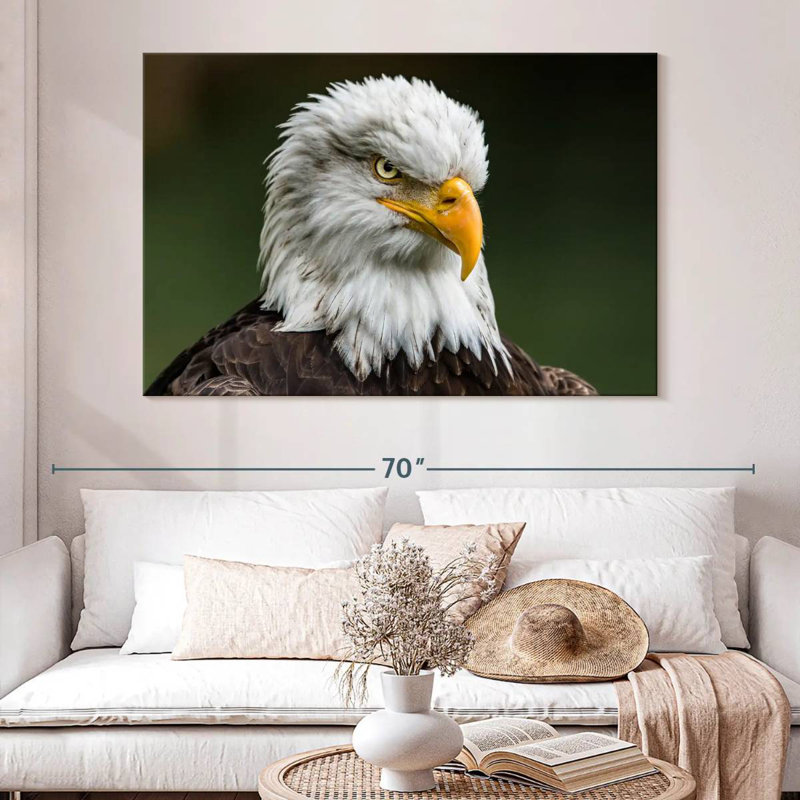 Brampt Bald Eagle Stare, 34" H x 51" W