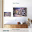 Christmas Tree Lane-719048853