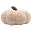 Orange Cushion-133900114