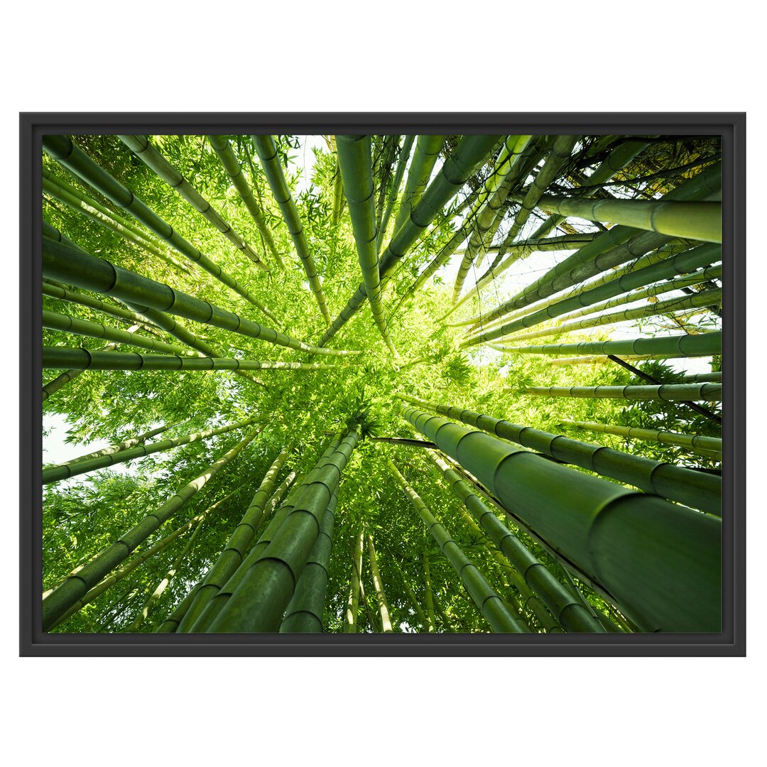 Gerahmter Fotodruck Green Bamboo