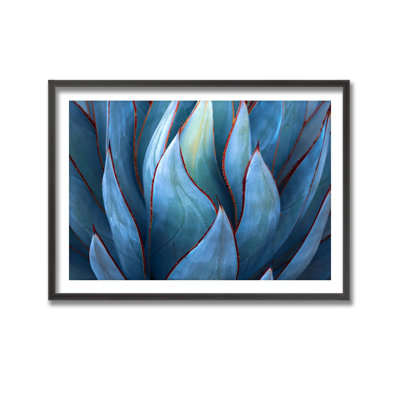 Nature Inspired Blue Agave Abstract by - Picture Frame Graphic Art on Paper