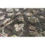 Dharma Floral Area Rug